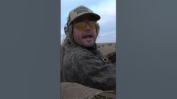 Loins!  #didntgo20 #goosehunt #rutdaniels #catchindeers