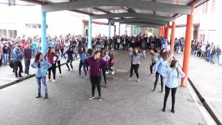 Flash Mob 2015 (11ºE)