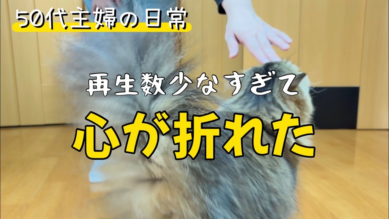 【50代の暮らし】動画の再生数が少なくて心折れる/ネコ動画は難しい//食事記録/健康/モーニングルーティン