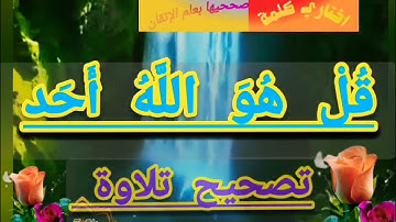 ✴️@دورة تصحيح تلاوة مع(قل هو الله أحد) ب علم التجويد العملي والإتقان تعالوا نسمع ونتعلم معا ✴️