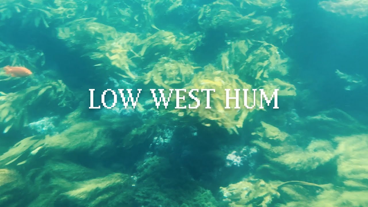 New Music Video for "Low West Hum" by Brass Clouds; dir. by Emily Troedson