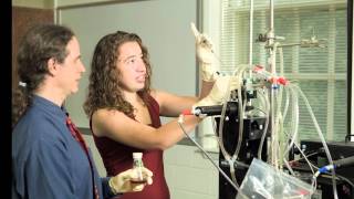 Wake Forest University Welcomes International Students