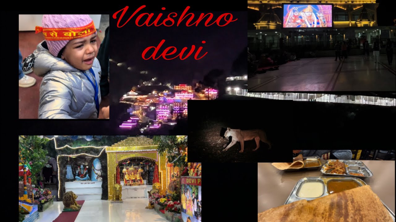 Vaishno devi ji darshan or raste me ye konsa janwar dekhne ko mila 😨