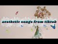 AESTHETIC SONGS FROM TIKTOK