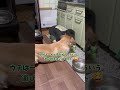 一人息子の良き遊び相手♪ #大型犬のいる生活