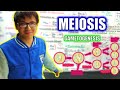 MEIOSIS | GAMETOGÉNESIS 👉😍🌿 (Semana 8 - CEPREUNALM)☘