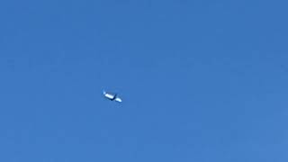 United Airlines Flight 1249 On Initial Approach to Newark Airport by Andrew’s Station 307 views 3 months ago 25 seconds