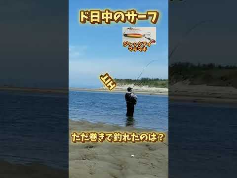 【サーフ釣り】ルアーアクション　#サーフ　#釣り　#ルアーフィッシング　#ヒラメ