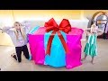 I FINALLY GOT THEM THIS HUGE PRESENT SURPRISE!!! THEY'VE BEEN WAITING SO LONG!