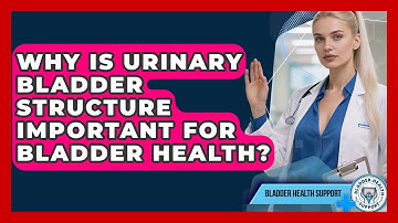 Why Is Urinary Bladder Structure Important For Bladder Health? - Bladder Health Support