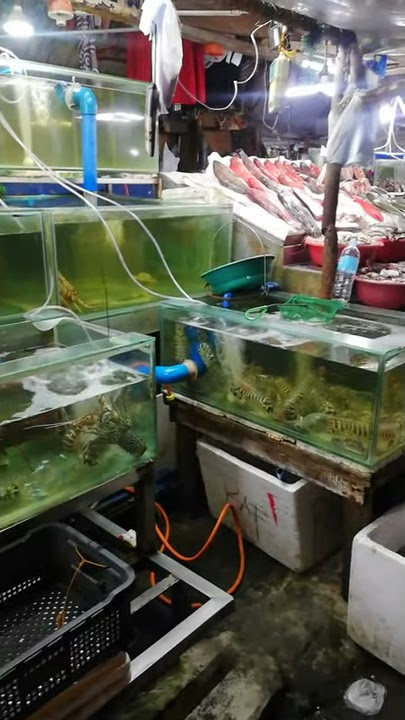 Ikura desu ka? 😁😁😁