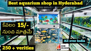 Cheapest fish aquarium shop/ fish pets/ sharks / rarest fish / aquaden/ crazy mowa screenshot 5