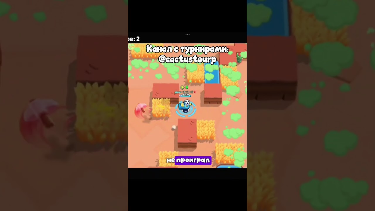 турниры тут: @cactustourp
