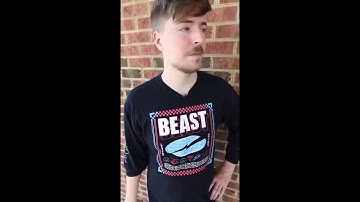 Mr Beast Riddle Step 10