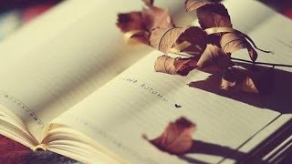 [Radio] Tên Khốn Dễ Thương - Vũ Liz ft. Linh Bear