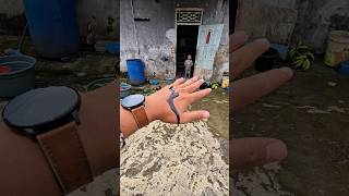 Dad's hand was hit by chicken 😭😭😭 #trendingshorts