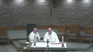 The Miraculous Power of Baptism: A Priest's Hospital Story