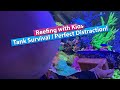 Reefing with Kids - Baby Tank Survival! and the perfect distraction?!