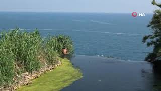 Uçurumun Kıyısında Eline Aldığı Sazla Bekleyen Genç Polise 5 Saat Ecel Teri Döktürdü