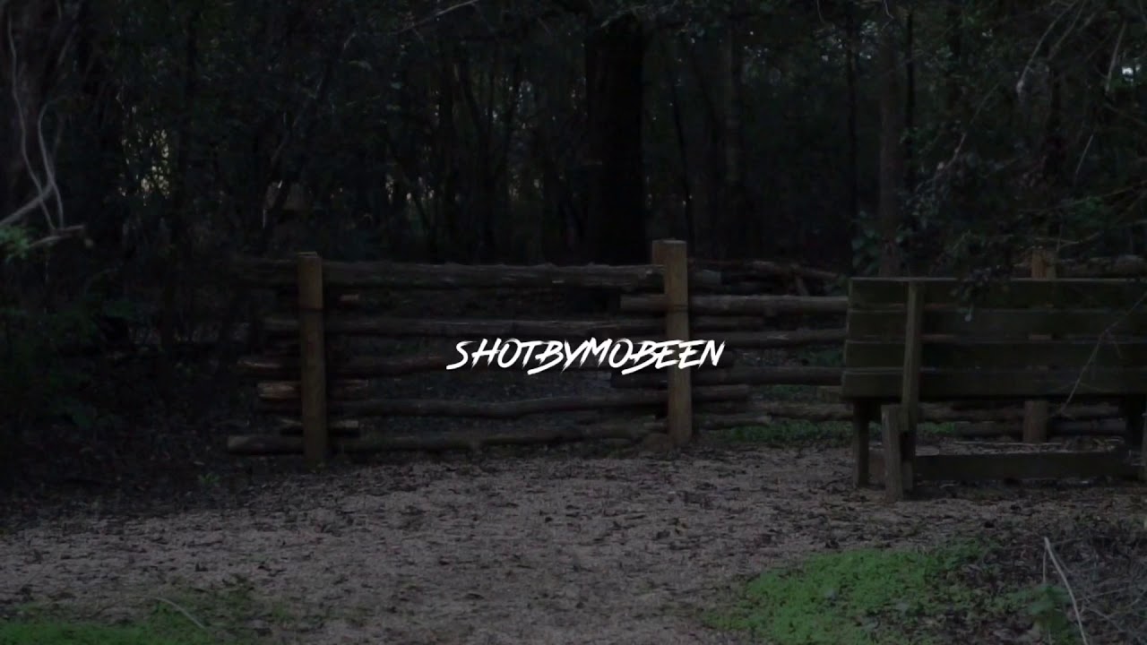 C O L D F O R E S T ft. Chill vibes