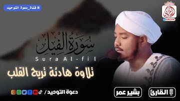 تلاوة رهيب تريح القلب من سورة الفيل /القارئ الشيخ بشير عمر حفظه الله