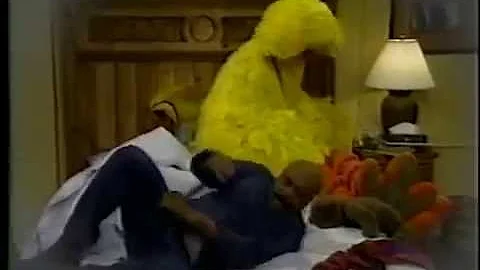 Sesame Street - Big Bird Sleeps at Gordon & Susan'...