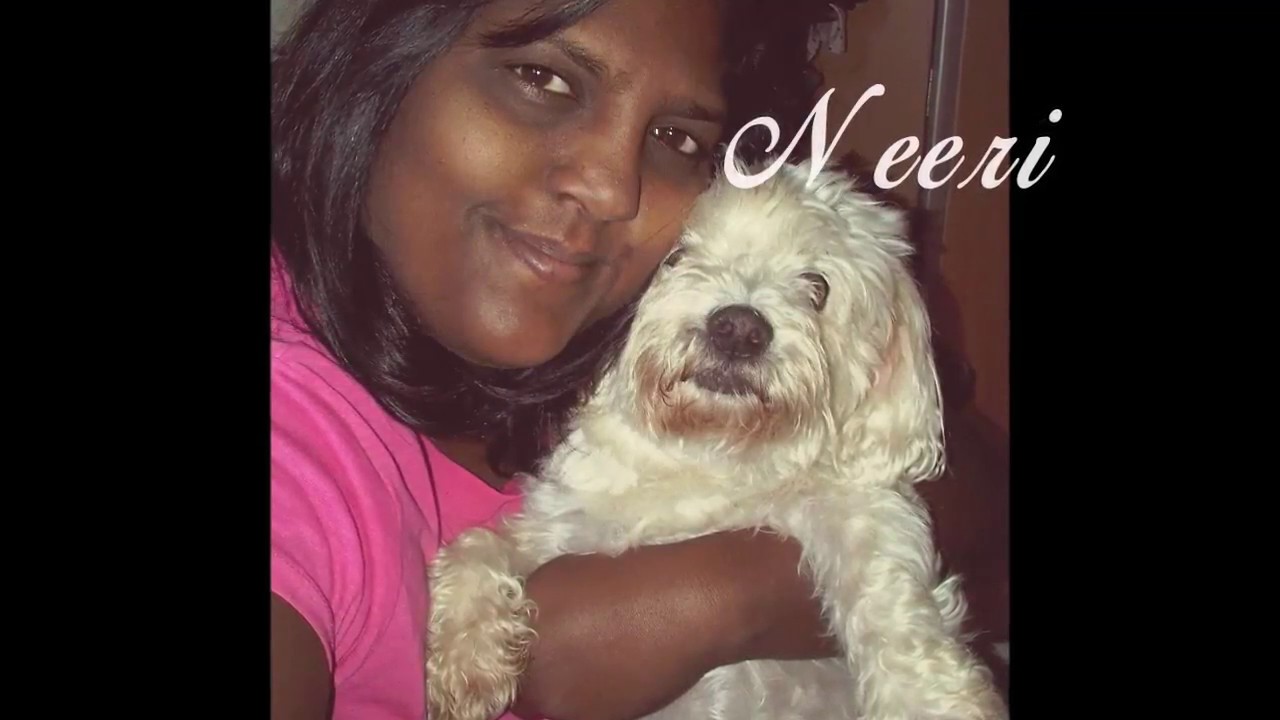 Phoenix Animal Care and Treatment YouTube