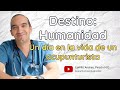 UN DIA EN LA VIDA DE UN PROFESOR DE ACUPUNTURA | Acupuntura para párvulos.