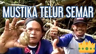 Penelusuran Harta Karun Menemukan Mustika Telur Semar