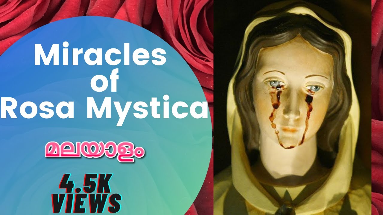 ✨ Miracles of Rosa Mystica at Erumely, Kerala | Malayalam |Last Part ( Part 5 of 5) 🙏 