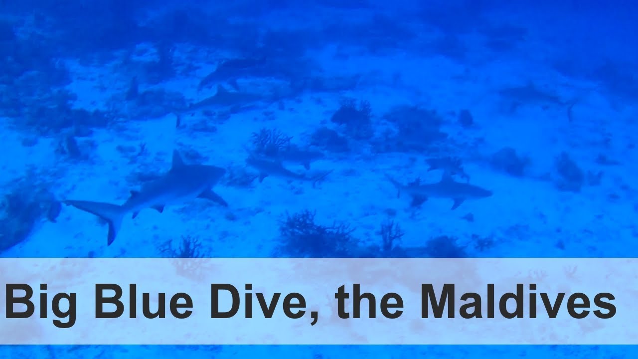 Scuba Diving the dive site ´Big Blue´ on Rasdhoo Atoll in the Maldives