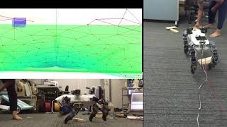Neuro-Cognitive-based Locomotion - Real robot implementation