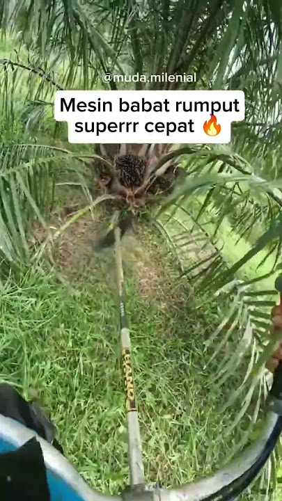 Inilah mesin babat rumput super cepat di kebun sawit #viral #fyp #kebunsawit #share #shorts