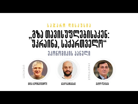 „გზა თავისუფლებისაკენ: უკრაინა, საქართველო” - ეკონომიკის პანელი