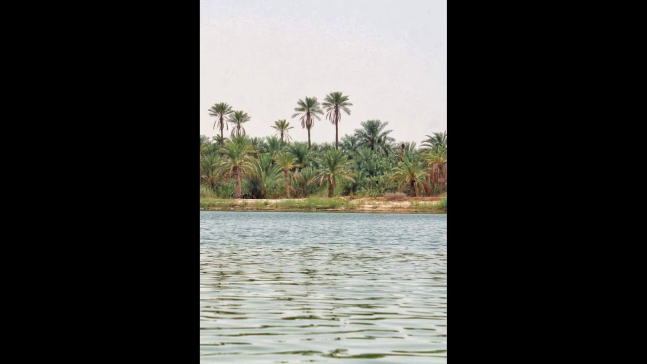 محلي تقرت-خالد حمادو|الأغنية التي يبحث عنها الجميع