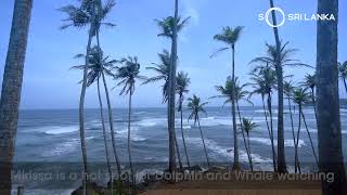 Mirissa Beach | 100 Journeys Sri Lanka