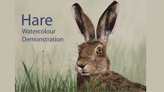 How to paint a Hare, Watercolour painting demonstration