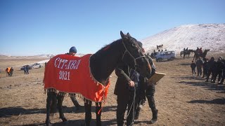 Конные скачки Аът чарыжы 17.03.21 Сүт-Хөл кожуун