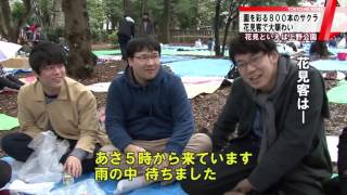 サクラ満開！上野公園は大賑わい