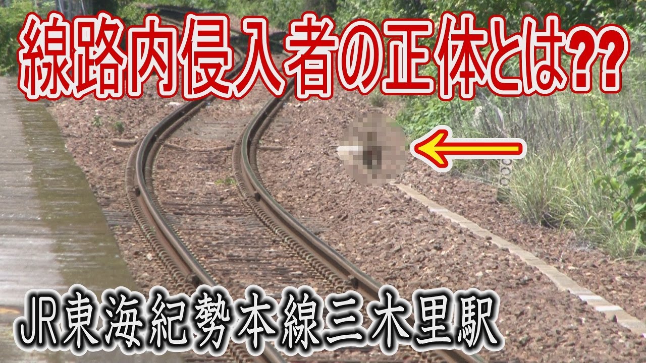 【駅に行って来た】紀勢本線三木里駅の線路内に侵入する不届き者とは??