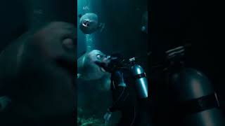 Fish Turds: The Sequel 🐟🌊 | Deep Sea Chaos Official Trailer