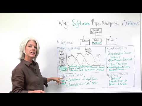 Software Project Management - Why it&#039;s Different!