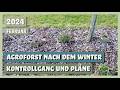 Der Agroforst nach dem Winter - Kontrollgang & Pläne | Sortengarten | VLOG 02.02.2024