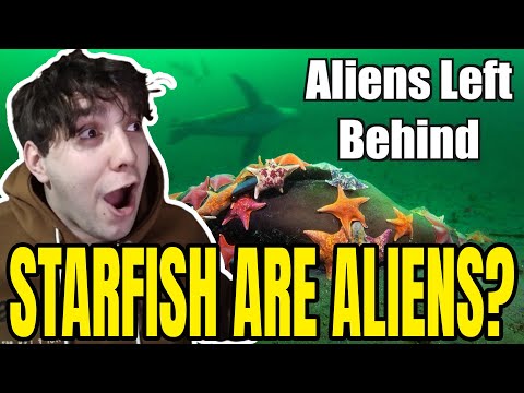 The Terrifying Truth Behind the Aliens in the Ocean | Casual Geographic | **REACTION**