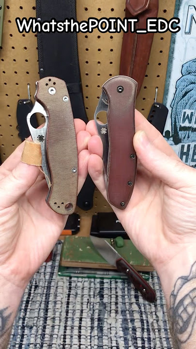 Battle of the Spyderco’s! PM2 vs GB2 #shorts #usa #spyderco