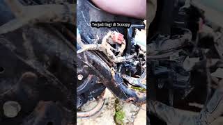 Rangka Esaf Keropos Kapan Selesainya Breeesafhonda scoopy2023