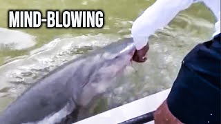 Florida Fisherman Messes Around And Immediately Finds Out