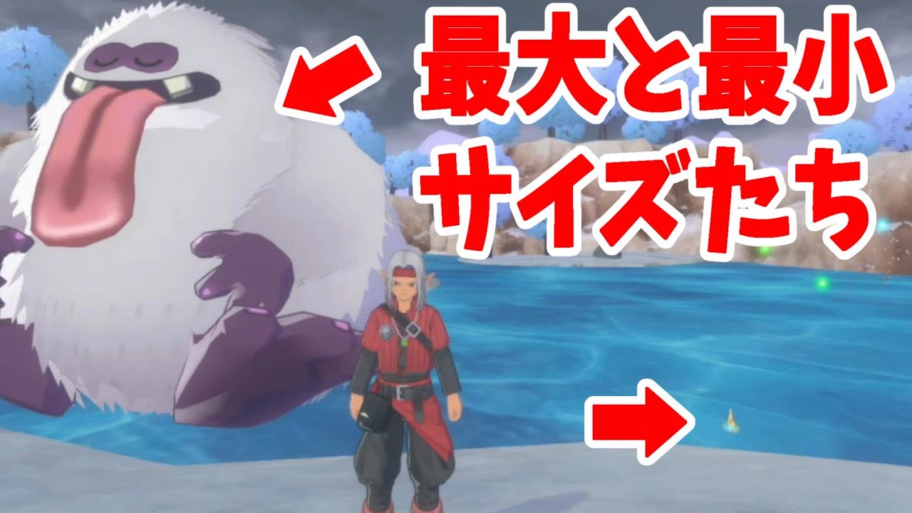 ポケモンZA ドラクエモンスターズ3 【公式通販】