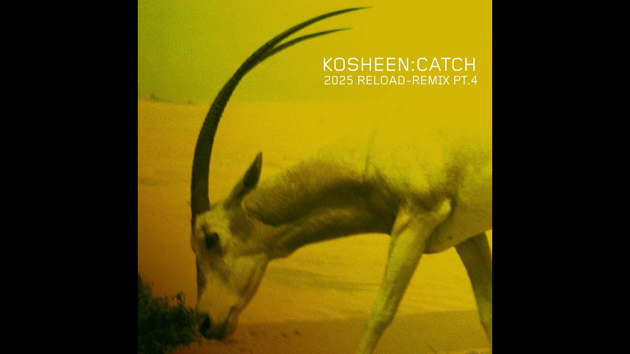 Kosheen - Catch: 2025 Reload (Adamon \u0026 Bella Kri Remix Medial Edit) [Official Audio]