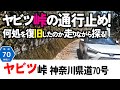 【12雑学】ヤビツ峠走破！2019年の長い通行止め、どこを復旧したのか走りながら探っていく。関東地方/神奈川県